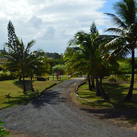 God'S Peace Of Maui Bed & Breakfast Makawao Room photo