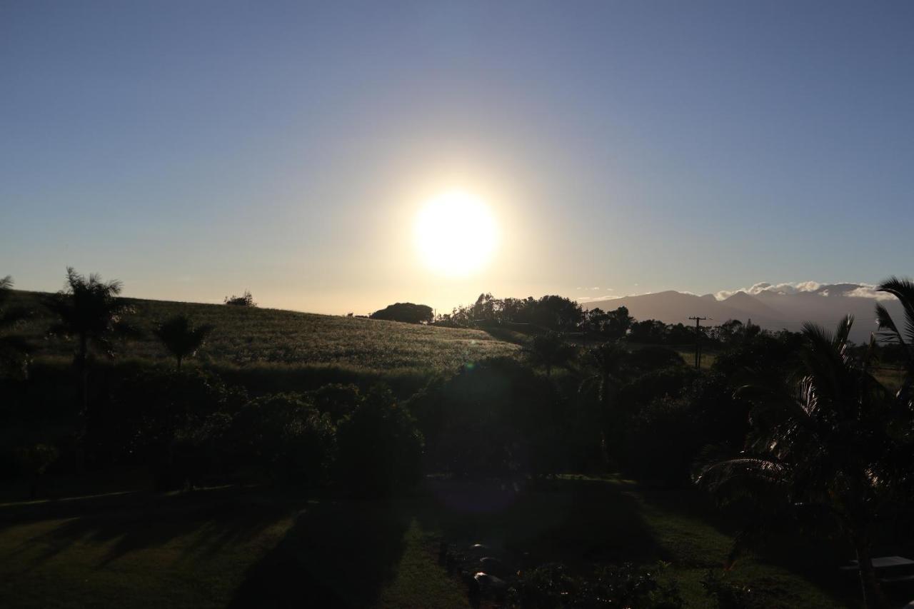 God'S Peace Of Maui Bed & Breakfast Makawao Exterior photo