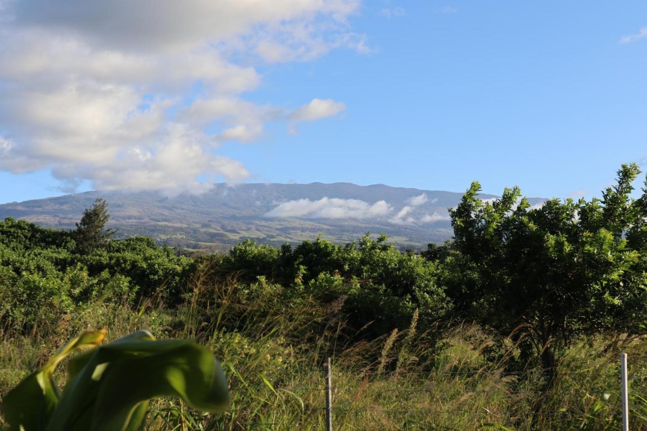 God'S Peace Of Maui Bed & Breakfast Makawao Exterior photo