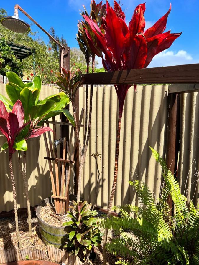 God'S Peace Of Maui Bed & Breakfast Makawao Exterior photo