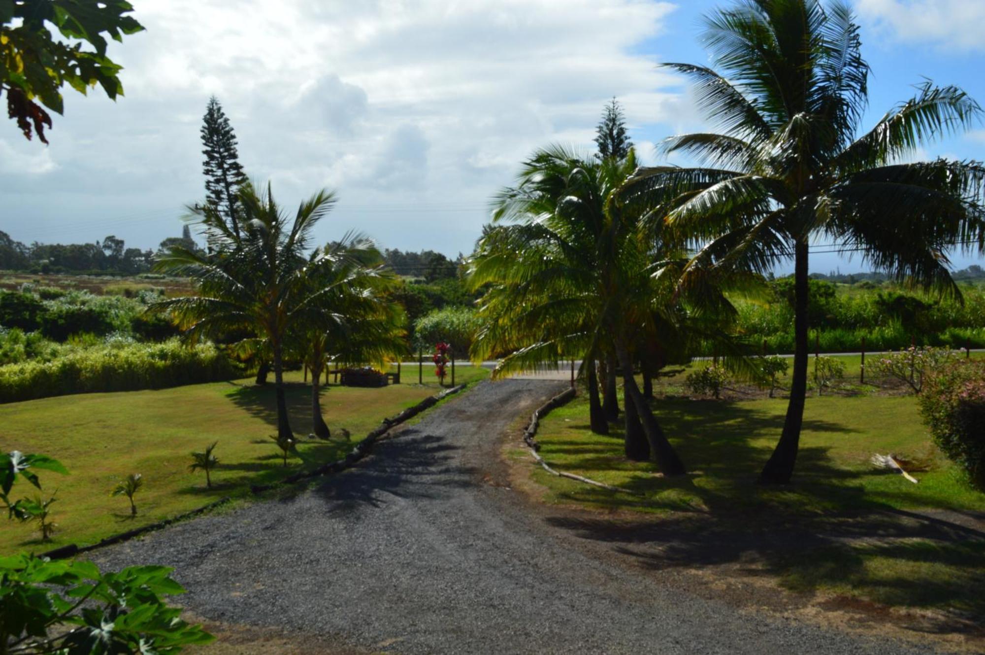 God'S Peace Of Maui Bed & Breakfast Makawao Room photo