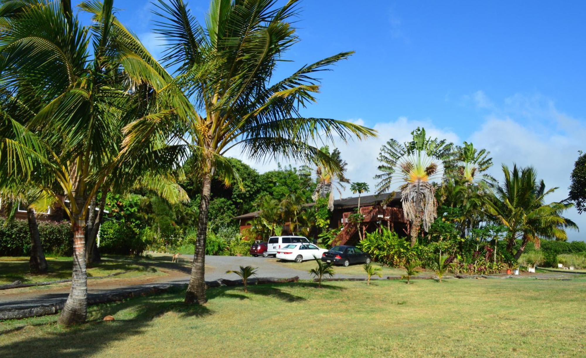God'S Peace Of Maui Bed & Breakfast Makawao Room photo