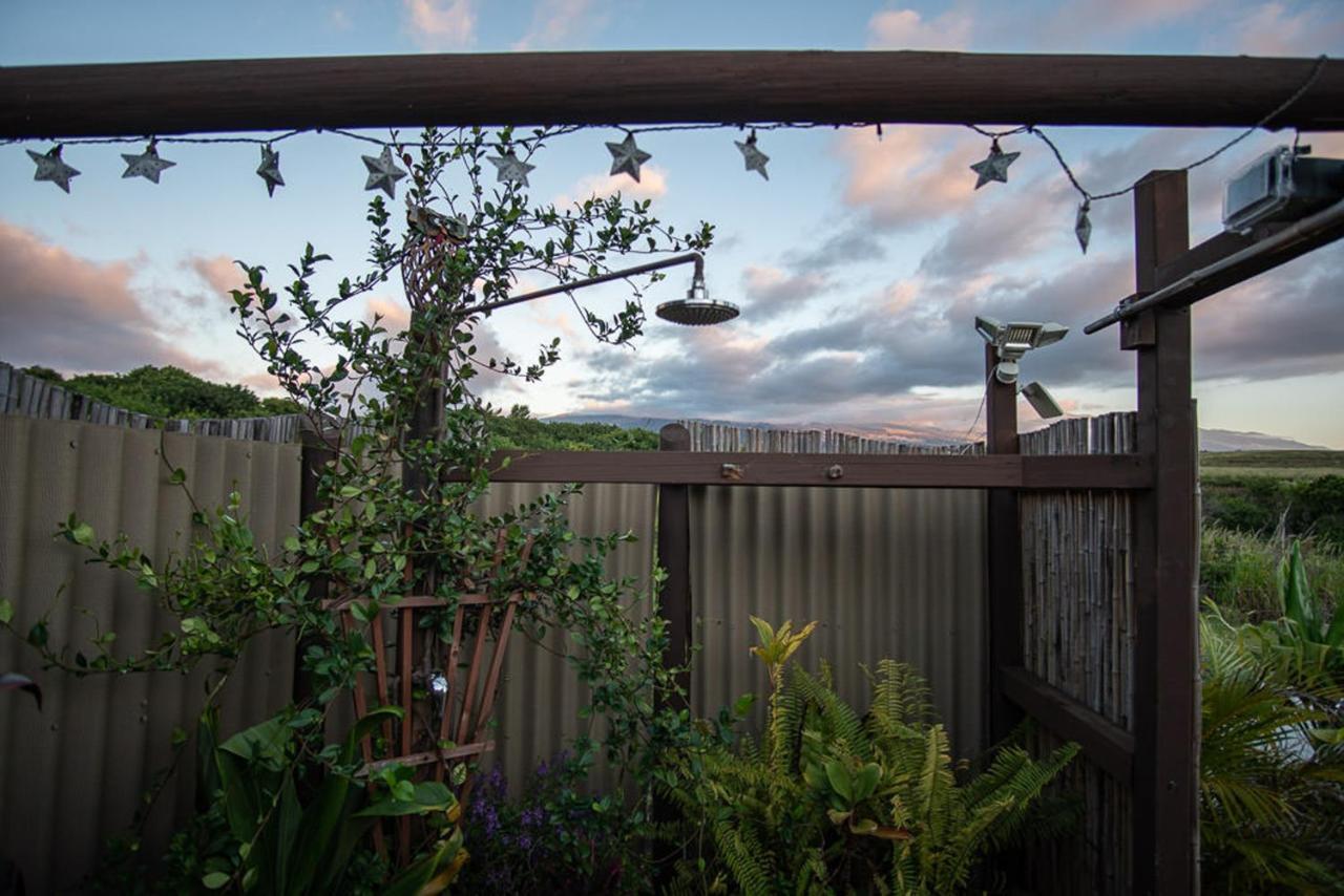 God'S Peace Of Maui Bed & Breakfast Makawao Exterior photo