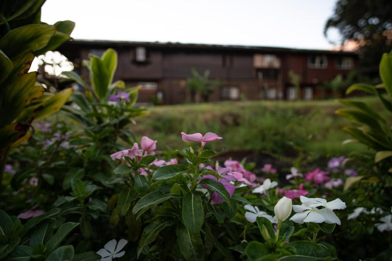 God'S Peace Of Maui Bed & Breakfast Makawao Exterior photo