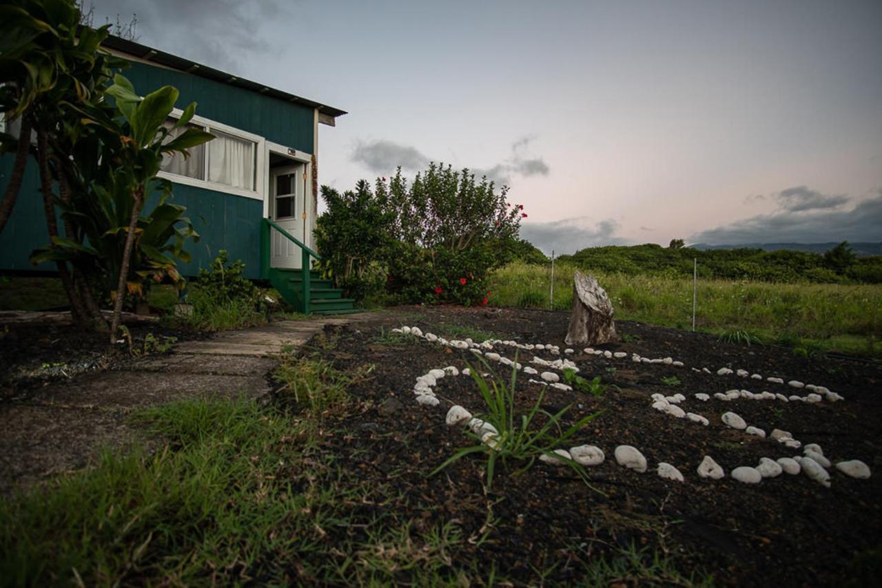 God'S Peace Of Maui Bed & Breakfast Makawao Exterior photo