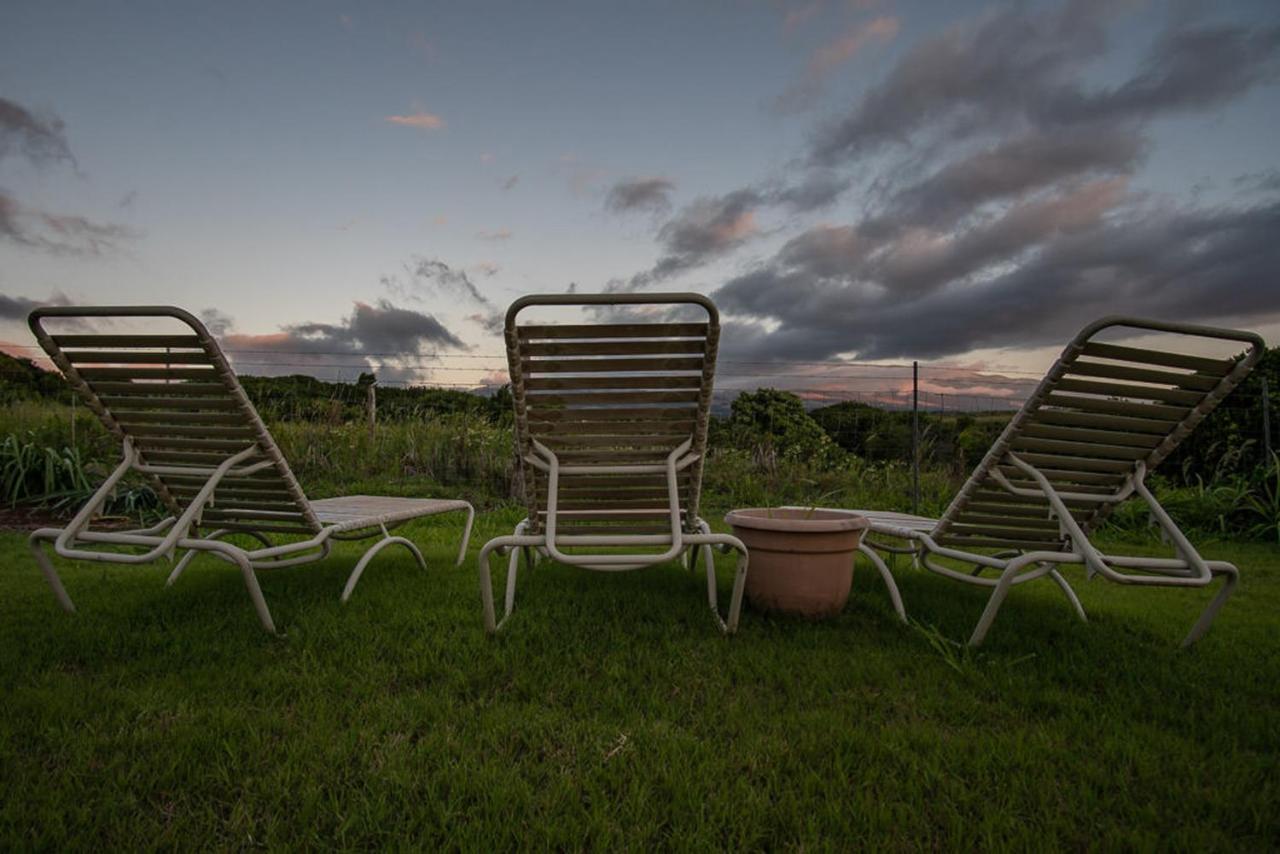 God'S Peace Of Maui Bed & Breakfast Makawao Exterior photo