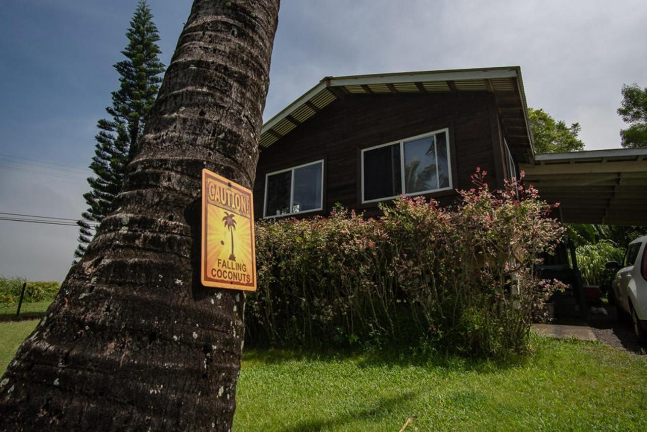 God'S Peace Of Maui Bed & Breakfast Makawao Exterior photo